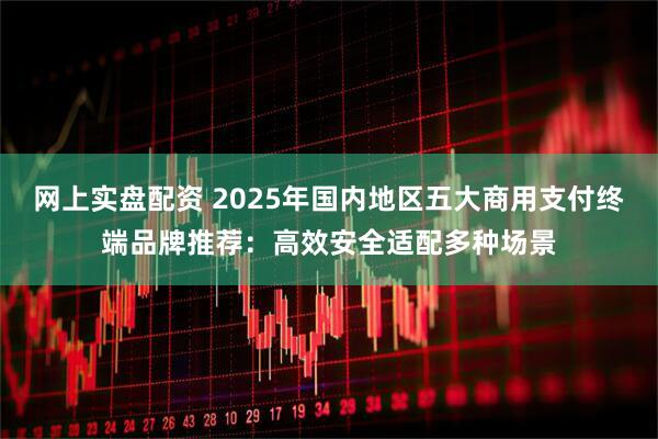 网上实盘配资 2025年国内地区五大商用支付终端品牌推荐：高效安全适配多种场景