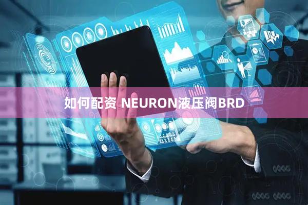 如何配资 NEURON液压阀BRD